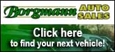 Borgmann Auto Sales Sponsorship Banner